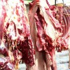 驴肉批发，驴肉厂家，驴肉，驴肉哪家好，兰陵驴肉