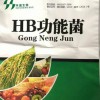 翻堆机，有机肥生产设备，翻堆机厂家，发酵菌