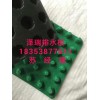 南京2公分排水板专用于（车库顶板）全国发货