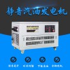 30kw工程用汽油发电机价格