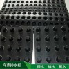 厂家直销小区绿化HDPE塑料排水板 卷材塑料排水板生产厂家 高20凹凸型塑料排水板质量