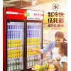 洛阳哪里有卖啤酒柜饮料柜 饮料冷藏柜厂家直销
