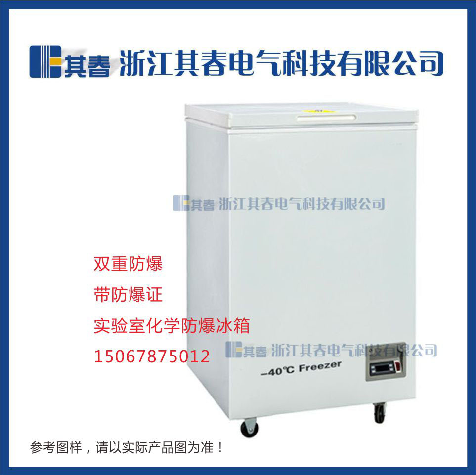 BL-DW110FW，