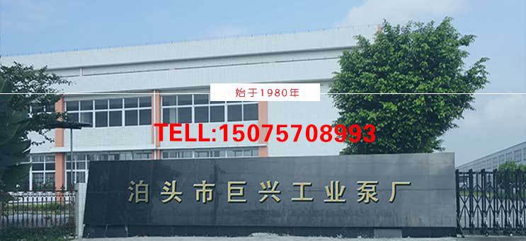 不锈钢齿轮泵 巨兴 耐腐蚀 食品级 齿轮输送泵示例图29