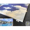 石河子市酒店玉雕3D打印蓝天白云铝单板   应用领域