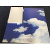海南恒大酒店吊顶天花弧形式蓝天白云铝单板  在线发售