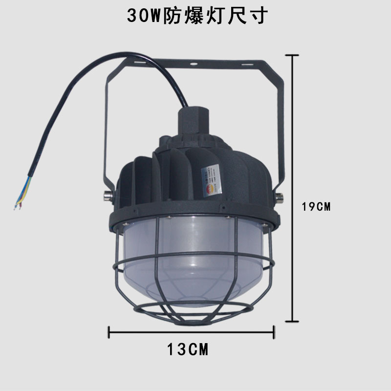 绿鲸无火花LED防爆灯30W