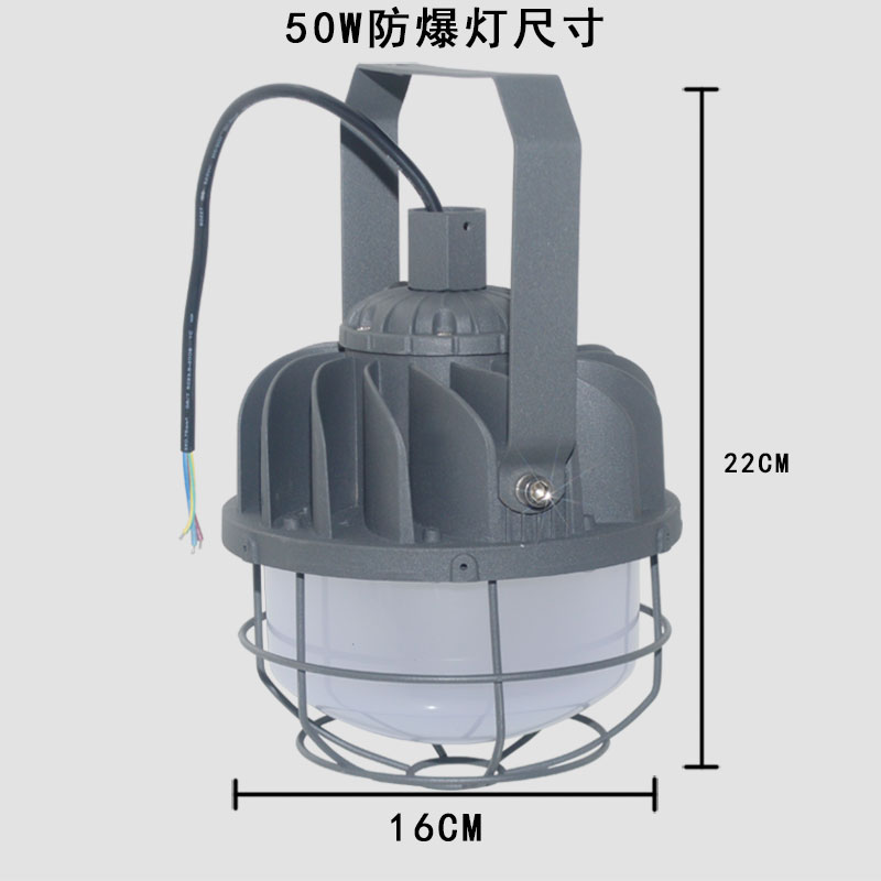 绿鲸无火花LED防爆灯50W