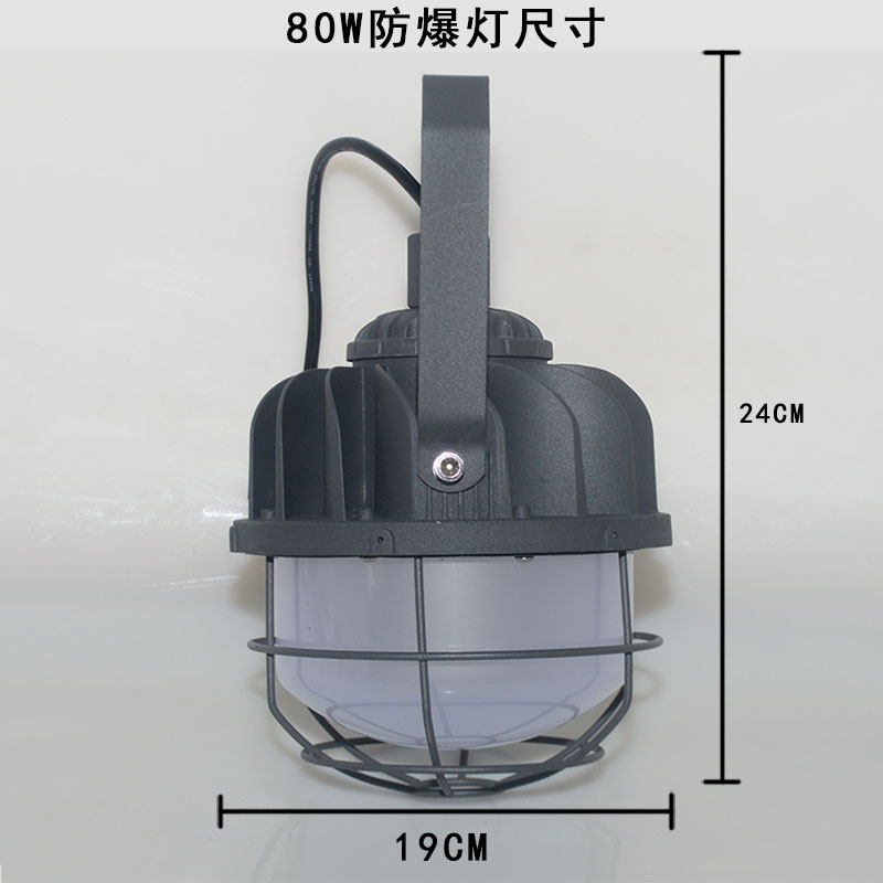 绿鲸无火花LED防爆灯80W