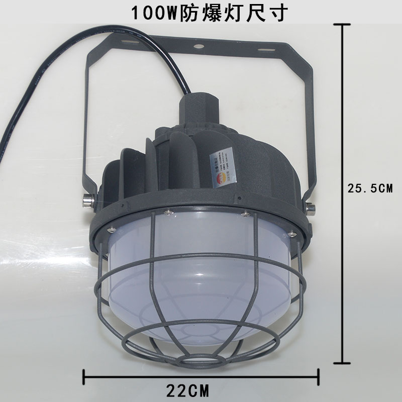 绿鲸无火花LED防爆灯100W