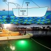 船用白色绿色蓝色LED水下钓鱼灯水下诱鱼灯捕鱼灯集鱼灯聚鱼灯