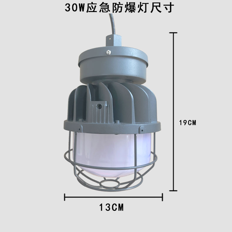 30WLED防爆应急灯（30WLED explosion-proof emergency lightl）