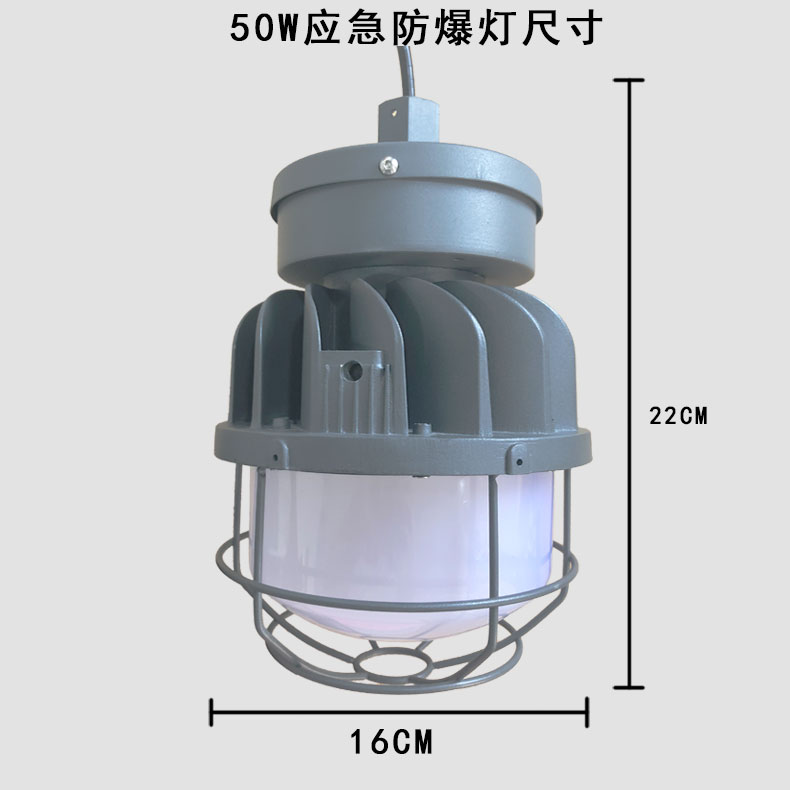 50WLED防爆应急灯 (50WLED explosion-proof emergency light)