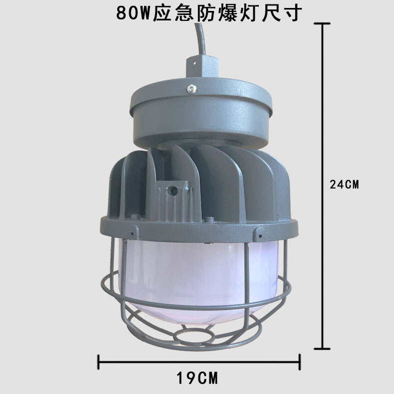 80WLED防爆应急灯（80WLED explosion-proof emergency light）