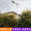 厂家直销LED太阳能路灯 6米 户外灯 新农村家用庭院灯高杆路灯