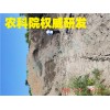返利30宁波绿宝厂家生产渣土回填、台州黄土再生二次 绍兴固化黄土、宁波路液技术、舟山路液代替砂石