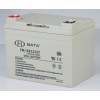 鸿贝BATA蓄电池12V33AH 鸿贝FM/BB1233T铅酸免维护UPS蓄电池正品