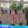 供应压环机-正品压片机新旧机器齐全-售后无忧