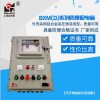 上海新黎明防爆配电箱BXM(D)可定做 多尺寸质量保证