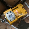 折弯机专用液压油泵 NT4-G50F内啮合齿轮泵