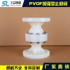 PVDF加强型止回阀  厂家直销