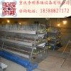 肉鸡笼 阶梯式肉鸡笼 镀锌肉鸡笼 层叠肉鸡笼