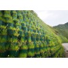 蜂巢格室-生态模块-土石笼袋-生态袋-生态棒-水土保护毯-防水毯