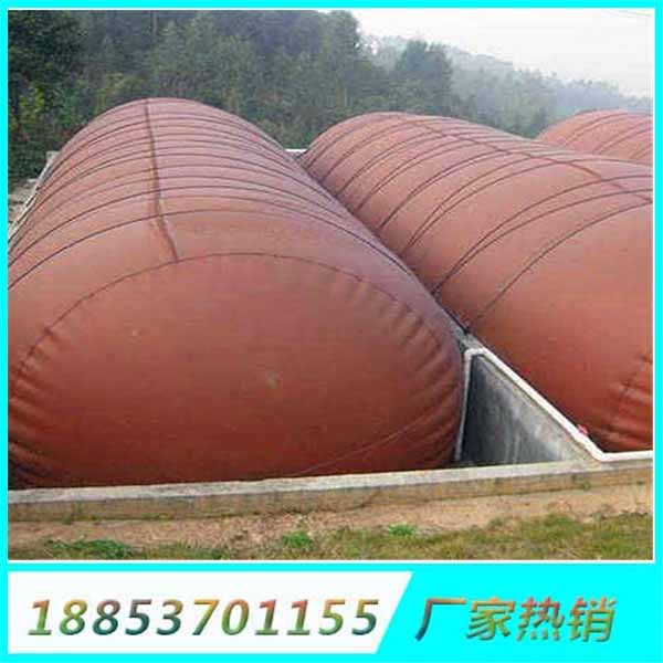 红泥沼气袋 (31)