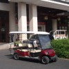 电动高尔夫观光车品牌绿通电动车工厂直销