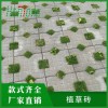 新型植草砖-弘通建材