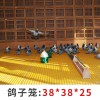 玻璃钢格栅板 鸽舍