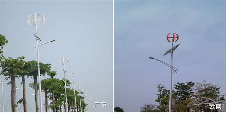 红灯笼_24