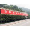 汉中墙面彩绘汉中农村墙体彩绘亿达墙体广告