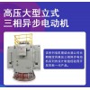 高压大型立式三相异步电动机  功率大 噪音低