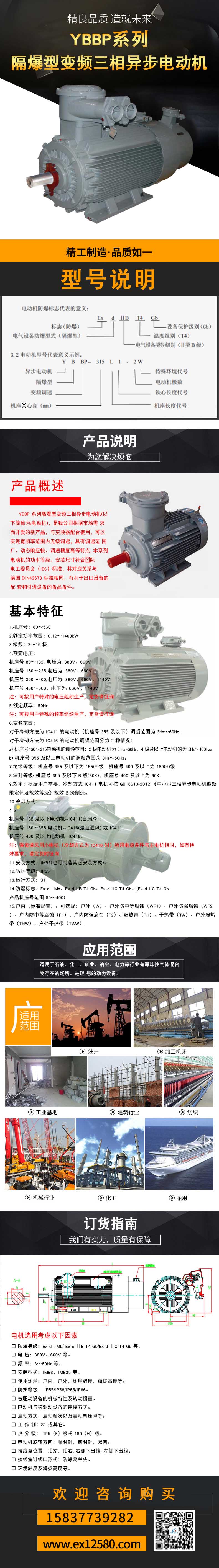 YBBP-系列隔爆型变频三相异步电动机1-压缩