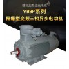 YBBP 系列隔爆型变频三相异步电动机
