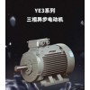 YE3 系列三相异步电动机