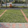 现货直发 圆孔型 草坪砖 绿色植草砖 绿化嵌草砖 品质保证