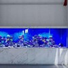 家庭观赏鱼缸-深圳水族箱生产厂家