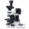 BX53数码生物显微镜