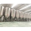 小型啤酒厂酿酒设备 自动化啤酒设备厂家定制 5000升啤酒生产设备