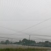 防鸟网