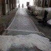 海苔网 畅销日本