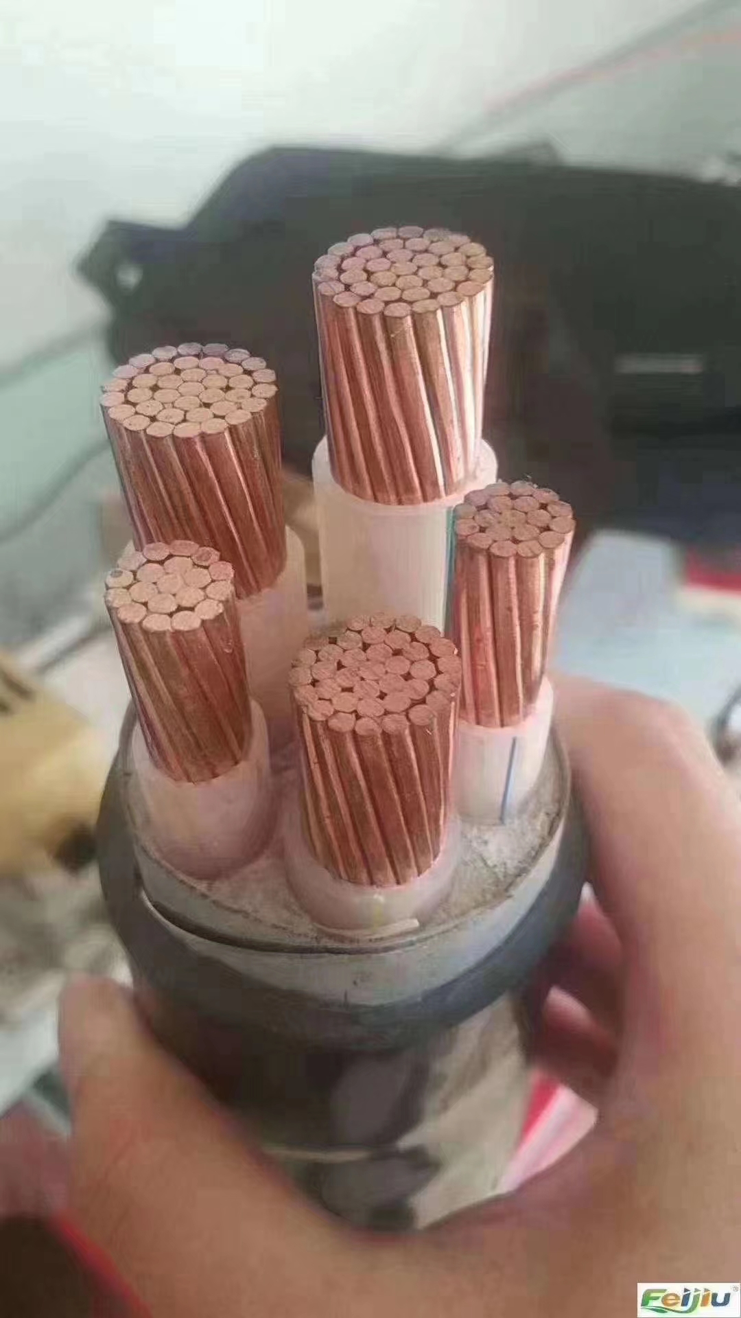 微信图片_20220512152446